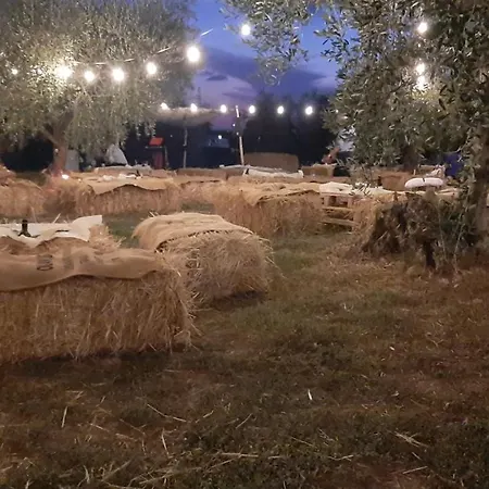 Beucarnea Salerno דירה *